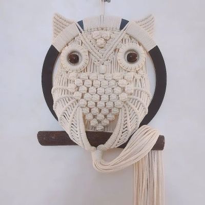 Owl macrame wall hanging