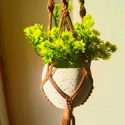 Macrame plant hanger