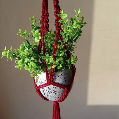 Macrame plant hanger