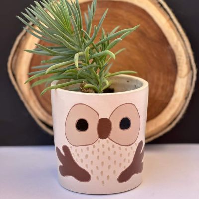 Owl Pot