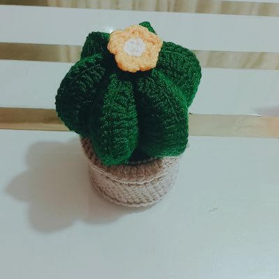 Cactus made of crochet 