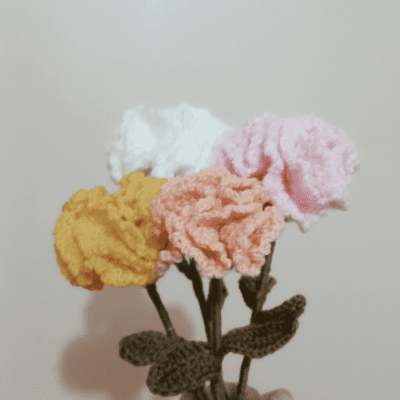 Carnations of crochet 