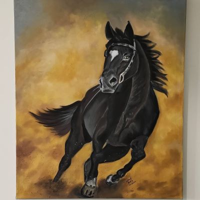 Black horse