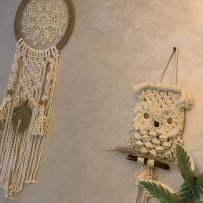 Hanging owl