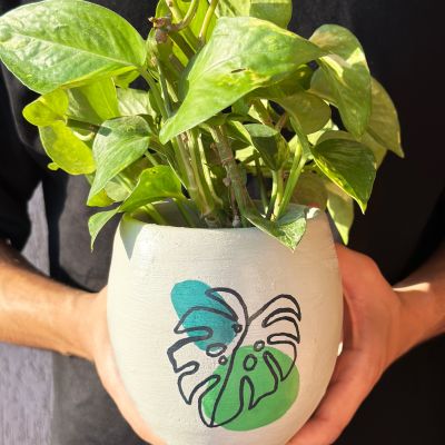 A plant pot with your name and tree leafs