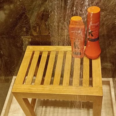  shower chair 