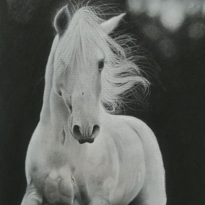 Canvas horse