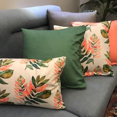 Spring cushion 