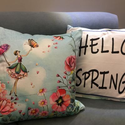 Spring cushion 