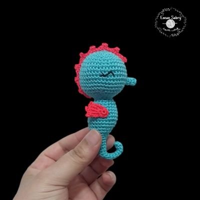 Seahorse 