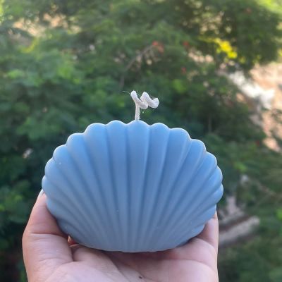 seashell candle