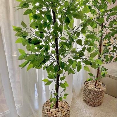 Artificial Benjamin Fig Tree for Indoor Decor - Naturally-Looking Houseplant - 120 cm, Comes with Pot and Stones to Enhance Its Beauty.