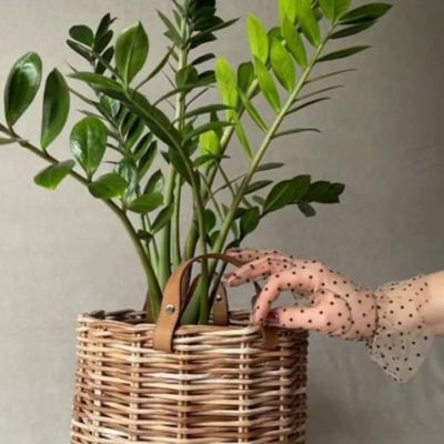 Handmade basket with leather hands