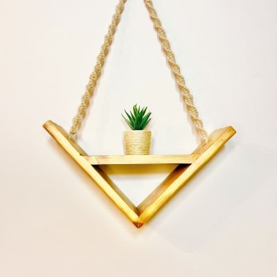 Hanging macrame plant